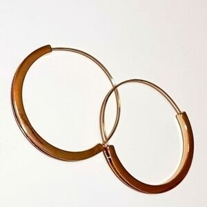Slim Thick Framed Hoop Gold Tone Earrings
